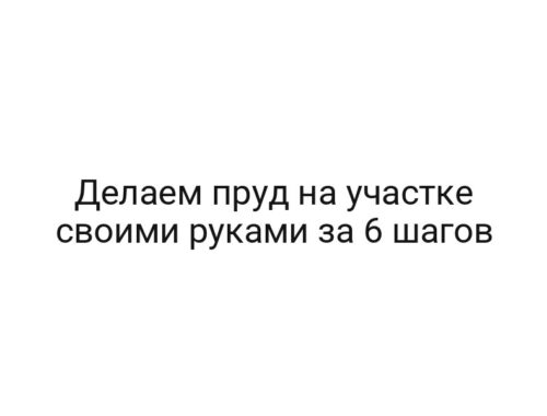 Делаем пруд на участке своими руками за 6 шагов