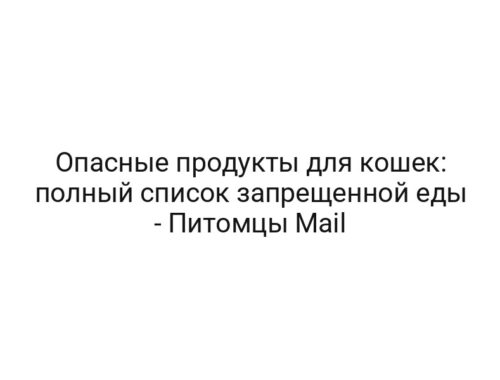 Опасные продукты для кошек: полный список запрещенной еды — Питомцы Mail