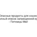 Опасные продукты для кошек: полный список запрещенной еды — Питомцы Mail