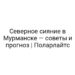Северное сияние в Мурманске — советы и прогноз | Поларлайтс