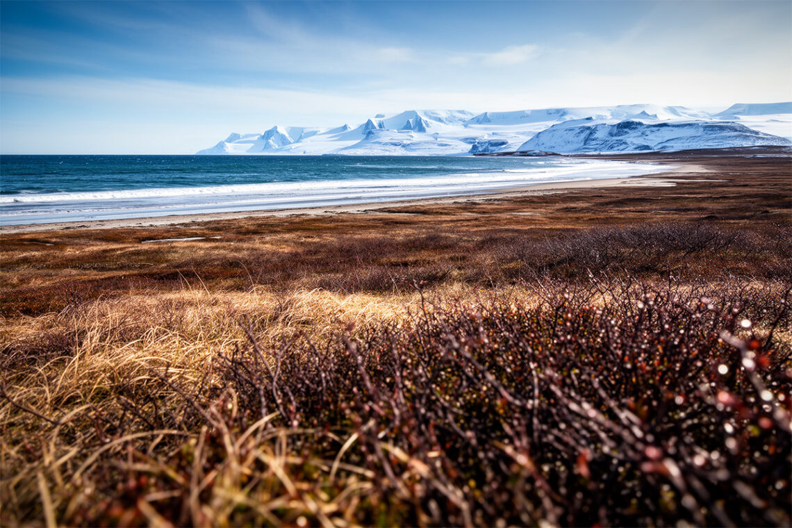 Термостабилизаторы поддержат состояние мерзлоты: на Ямале внедряют новую технологию сохранения дорог – – Портал о развитии Арктики