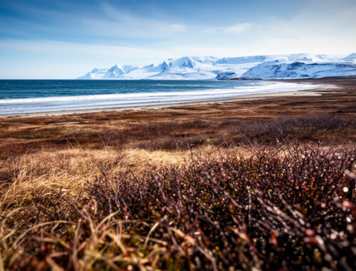 Термостабилизаторы поддержат состояние мерзлоты: на Ямале внедряют новую технологию сохранения дорог – – Портал о развитии Арктики