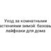 Уход за комнатными растениями зимой: базовые лайфхаки для дома