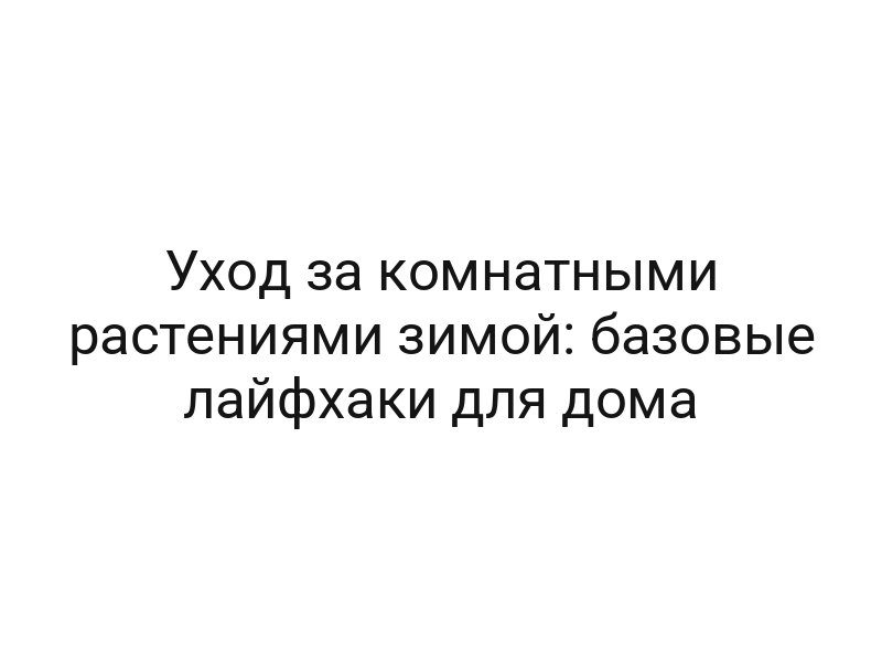 Уход за комнатными растениями зимой: базовые лайфхаки для дома