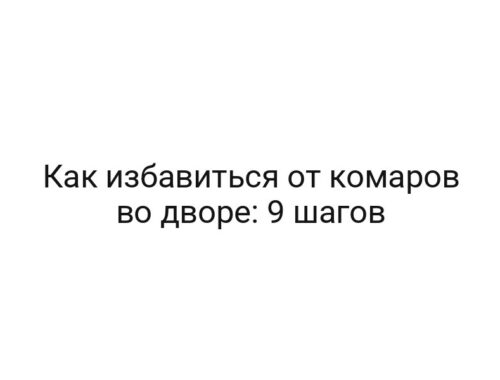 Как избавиться от комаров во дворе: 9 шагов