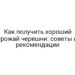 Как получить хороший урожай черешни: советы и рекомендации